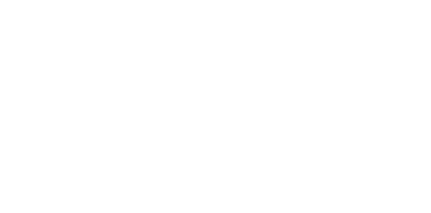 Lea Solo Logo